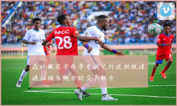 森林狼在字母争夺战之外还积极追逐拉梅洛鲍尔的交易机会